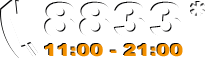 8833